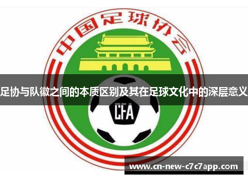 足协与队徽之间的本质区别及其在足球文化中的深层意义 足协与队徽之间的本质区别及其在足球文化中的深层意义