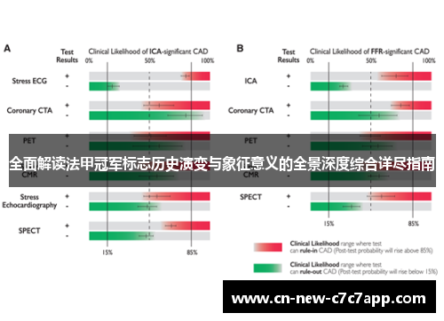 全面解读法甲冠军标志历史演变与象征意义的全景深度综合详尽指南
