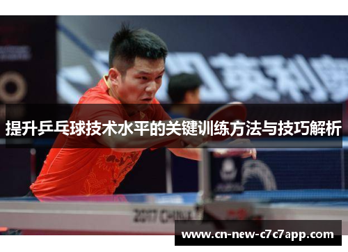 提升乒乓球技术水平的关键训练方法与技巧解析